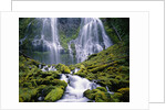 Water Cascading Down Proxy Falls by Anonymous