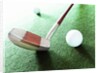 Putter and Golf Ball by Anonymous