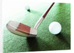 Putter and Golf Ball by Anonymous