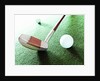 Putter and Golf Ball by Anonymous