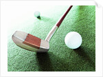 Putter and Golf Ball by Anonymous