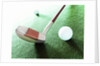 Putter and Golf Ball by Anonymous