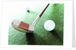 Putter and Golf Ball by Anonymous