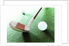 Putter and Golf Ball by Anonymous
