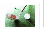 Putter and Golf Ball by Anonymous