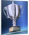 Shiny Trophy by Anonymous