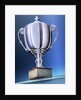 Shiny Trophy by Anonymous