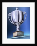 Shiny Trophy by Anonymous