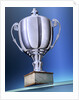 Shiny Trophy by Anonymous
