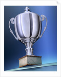 Shiny Trophy by Anonymous