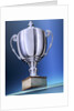 Shiny Trophy by Anonymous