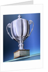 Shiny Trophy by Anonymous