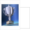 Shiny Trophy by Anonymous