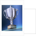 Shiny Trophy by Anonymous