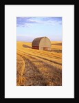 Barn in Harvested Field by Anonymous