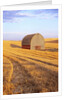 Barn in Harvested Field by Anonymous