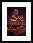 Meteor Trails and Joshua Trees by Anonymous