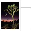 Crescent Moon and Joshua Tree by Anonymous