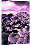 Giant's Causeway by Anonymous