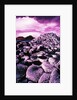 Giant's Causeway by Anonymous