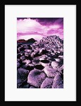 Giant's Causeway by Anonymous