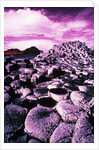 Giant's Causeway by Anonymous