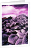 Giant's Causeway by Anonymous