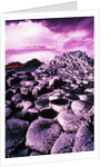 Giant's Causeway by Anonymous