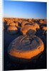 Pumpkin Patch Concretions by Anonymous