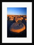 Pumpkin Patch Concretions by Anonymous
