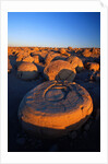 Pumpkin Patch Concretions by Anonymous