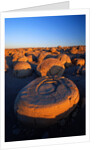 Pumpkin Patch Concretions by Anonymous