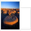 Pumpkin Patch Concretions by Anonymous