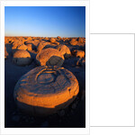 Pumpkin Patch Concretions by Anonymous