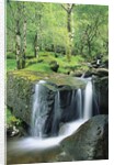 Gougane Barra Forest Park Waterfall by Anonymous