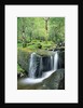 Gougane Barra Forest Park Waterfall by Anonymous