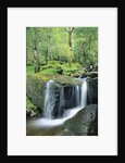 Gougane Barra Forest Park Waterfall by Anonymous
