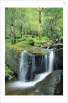 Gougane Barra Forest Park Waterfall by Anonymous
