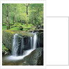 Gougane Barra Forest Park Waterfall by Anonymous