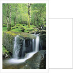 Gougane Barra Forest Park Waterfall by Anonymous