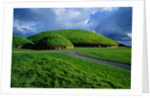 Passage Tombs of Knowth by Anonymous
