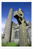 St. Canice's Cathedral and Round Tower by Anonymous