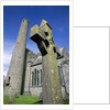 St. Canice's Cathedral and Round Tower by Anonymous
