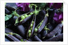 Pea Pods by Anonymous