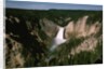 Lower Falls in Yellowstone National Park by Anonymous