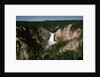 Lower Falls in Yellowstone National Park by Anonymous