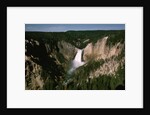 Lower Falls in Yellowstone National Park by Anonymous