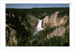 Lower Falls in Yellowstone National Park by Anonymous