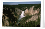 Lower Falls in Yellowstone National Park by Anonymous