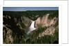 Lower Falls in Yellowstone National Park by Anonymous